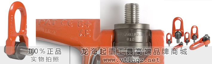 卢森堡DSR型万向吊环 卢森堡DSR型万向吊环