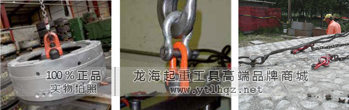 卢森堡DSR型万向吊环使用案例图片 卢森堡DSR型万向吊环使用案例图片