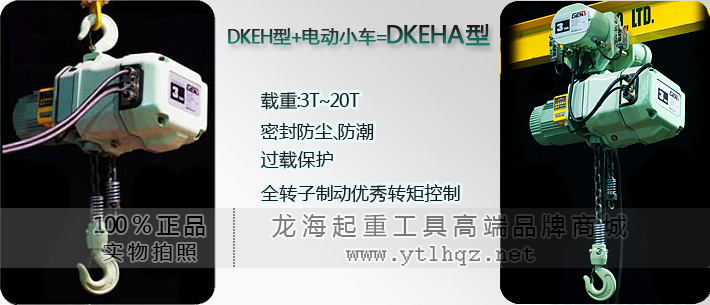 DKEHA型运行式环链电动葫芦 DKEHA型运行式环链电动葫芦