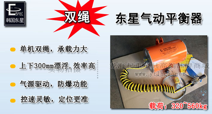 DONGSUNG双绳气动平衡器图片介绍
