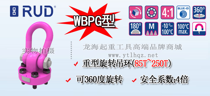 WBPG型路德螺栓型旋转吊环