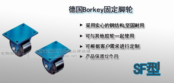 SF型Borkey固定脚轮图片