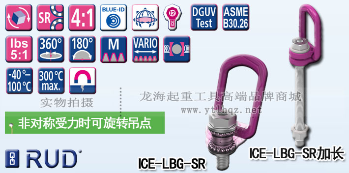 ICE-LBG-SR型路德旋转吊点