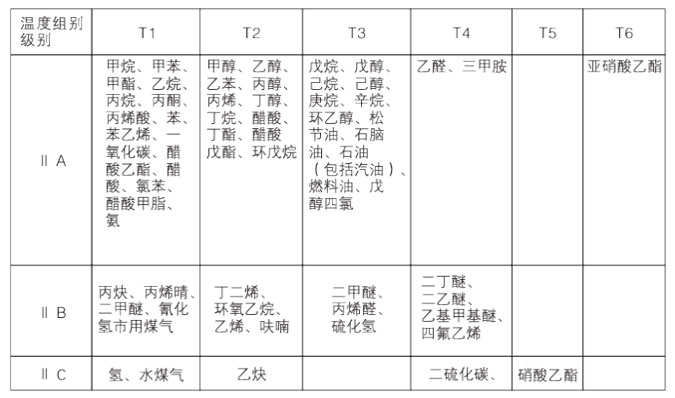 气体防爆电动葫芦级别