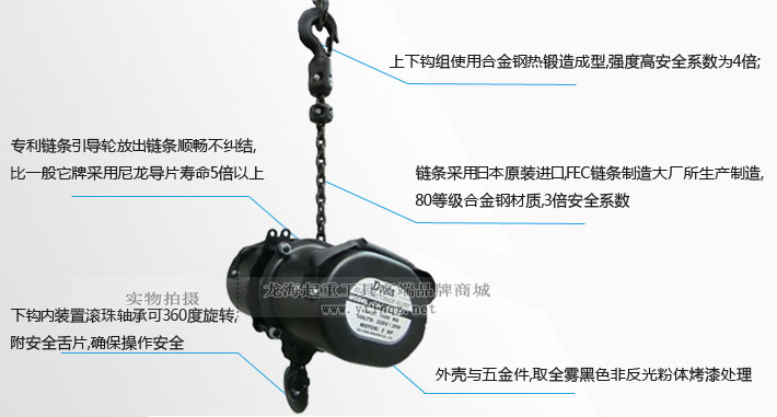 台湾DUKE舞台倒挂环链电动葫芦细节图