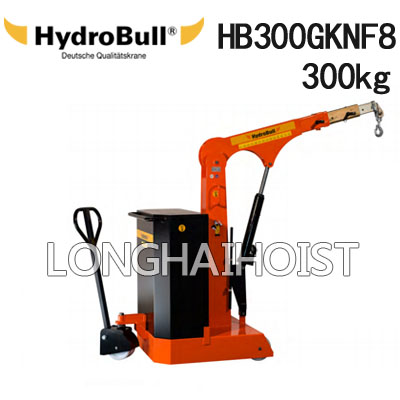 HB300GKNF8小型配重起重机