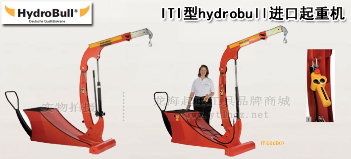 ITI型hydrobull进口起重机