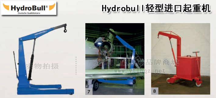 Hydrobull轻型进口起重机