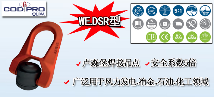 WE.DSR型卢森堡焊接吊点产品图片