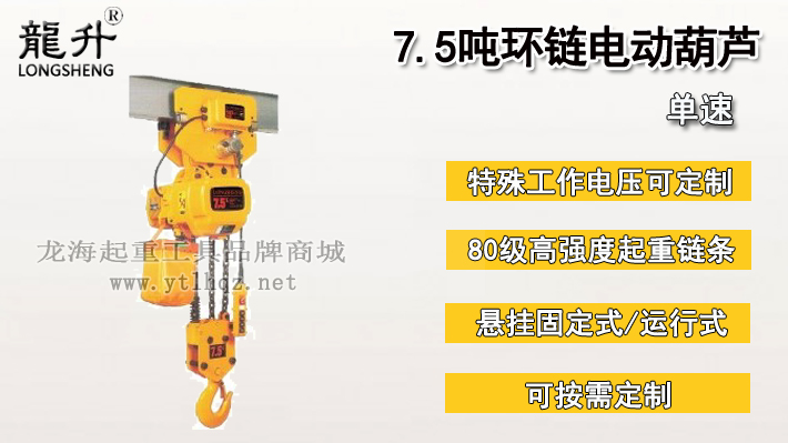 7.5吨环链电动葫芦图片